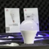 Astera Nyx Bulb (FP5)
