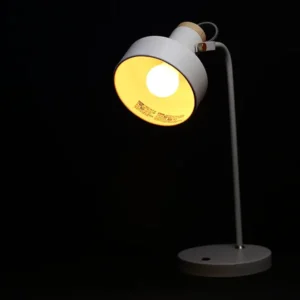 Luna Bulb in a Desk Lamp